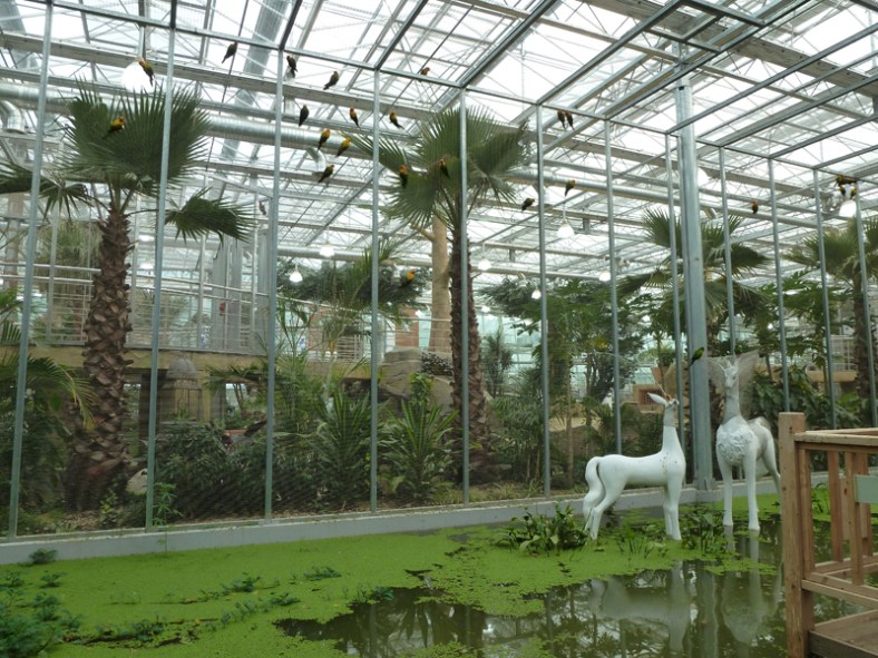 gyeongju bird park_02