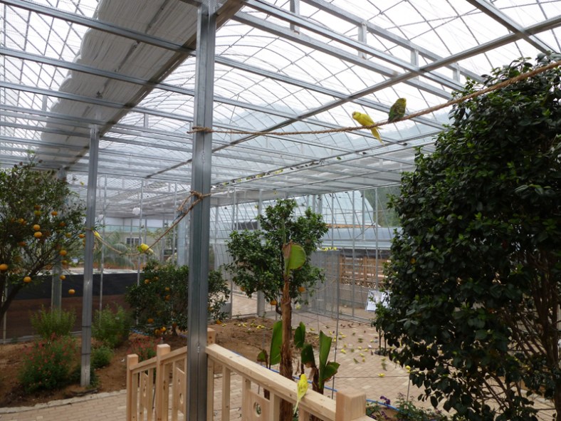 gyeongju bird park_08